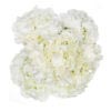 ivory-bunch-hydrangea-silk-flowers