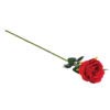 red single long stem rose 30in