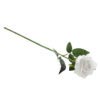 white single long stem rose 30in