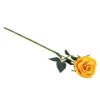 yellow single long stem rose 30in